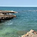 Come sta cambiando la fauna del Mediterraneo a causa del clima? Le nuove specie che prima non c'erano!