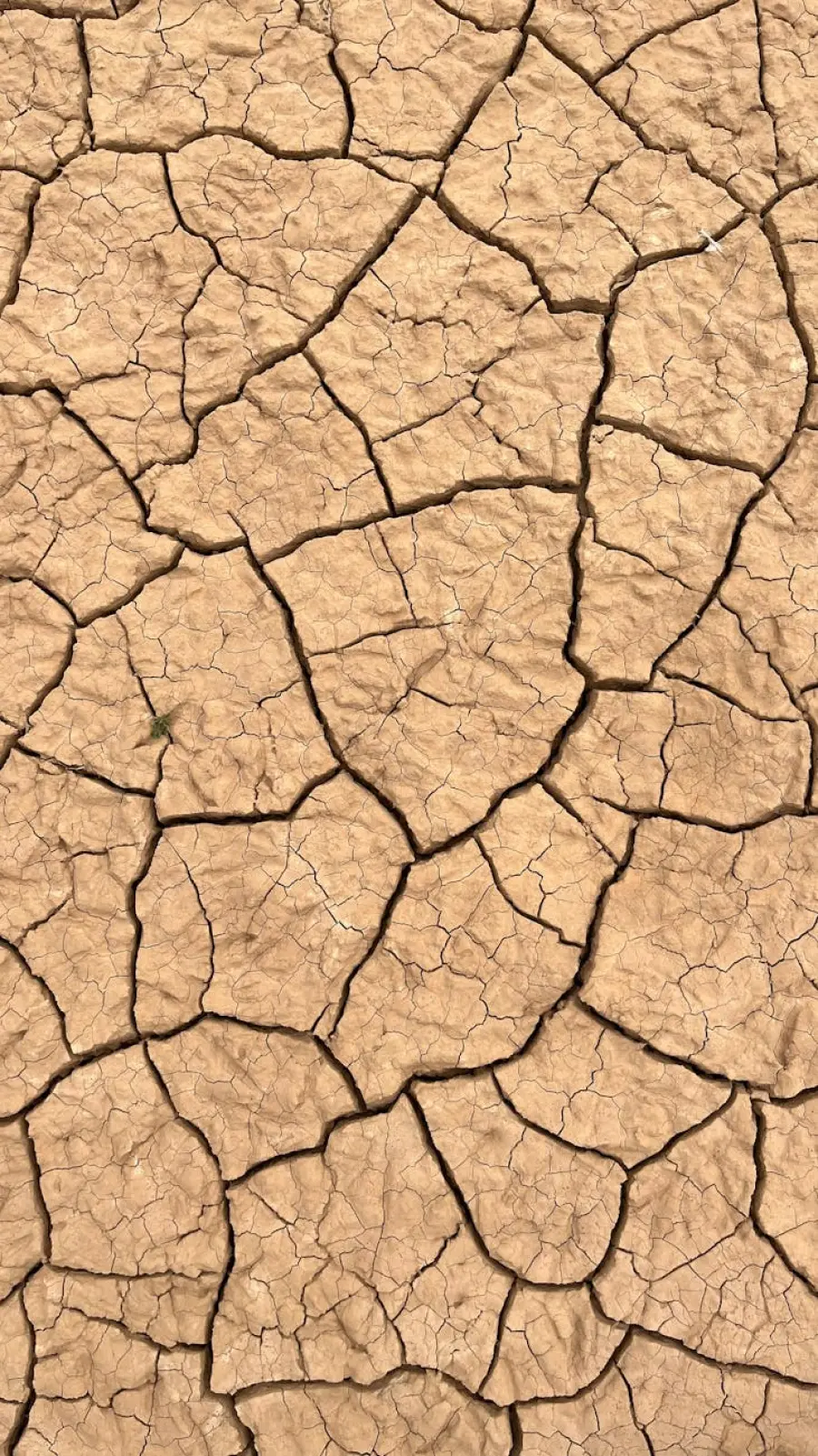 Desertificazione in Europa: le aree a rischio che molti non si aspettano di trovare sulla mappa