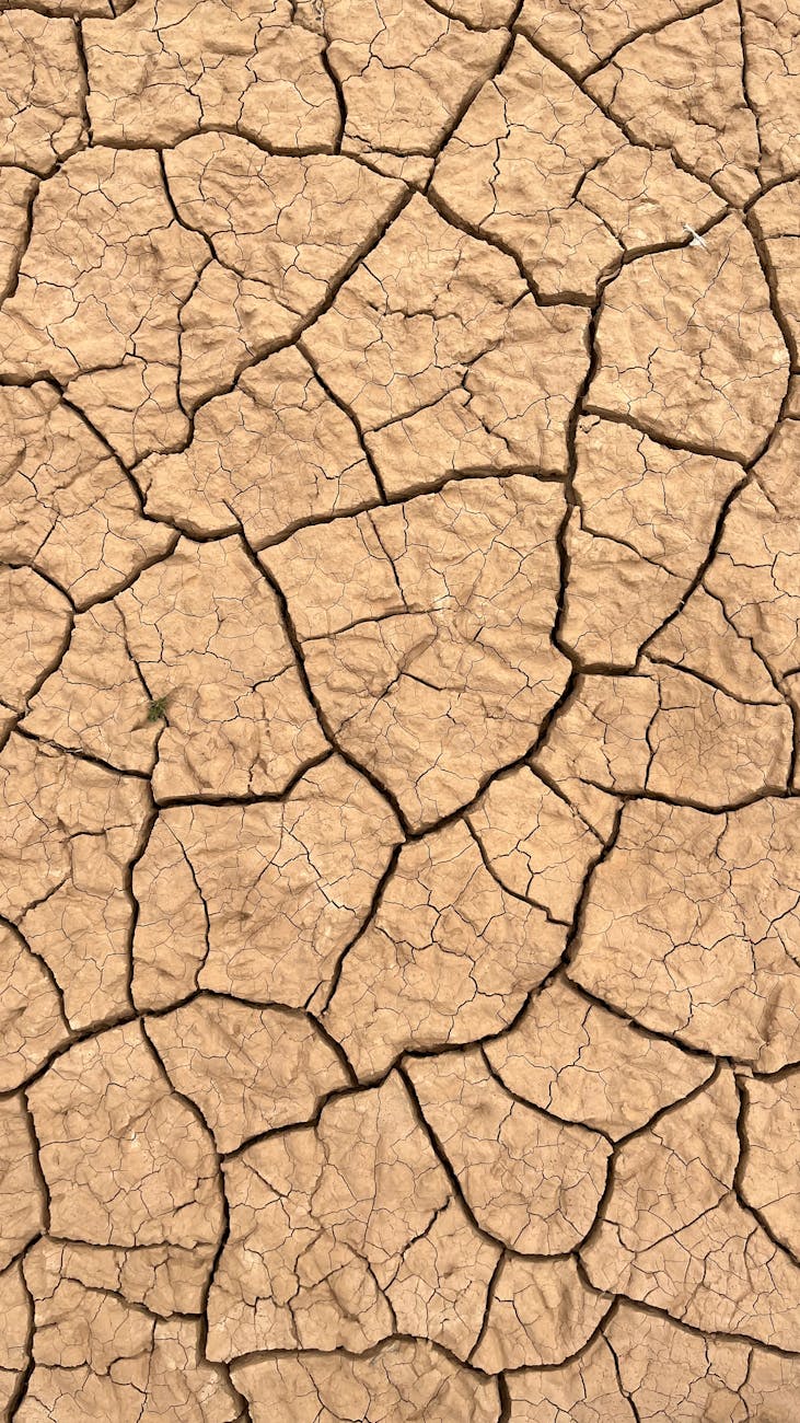 Desertificazione in Europa: le aree a rischio che molti non si aspettano di trovare sulla mappa