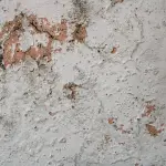 Quali sono gli effetti della muffa in casa sulla salute e perché fare molta attenzione