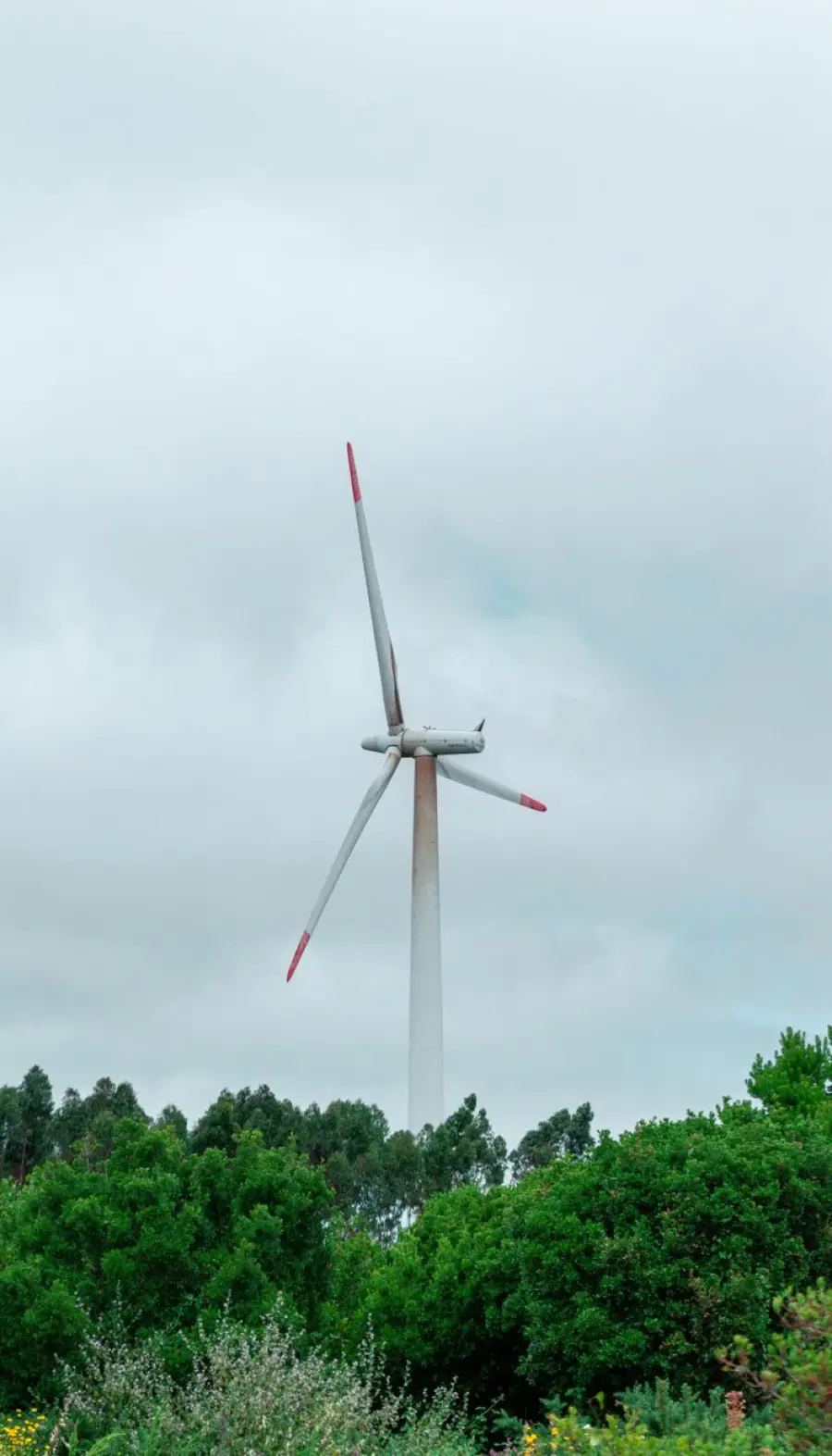 Energia, Pichetto firma il FER X: 37,15 GW rinnovabili