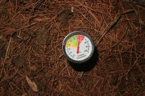Compostaggio domestico in appartamento: guida pratica