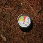 Come fare il compostaggio domestico in appartamento: guida pratica