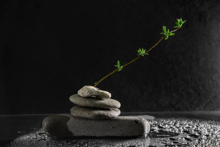 Resilienza: significato reale e fraintendimenti comuni