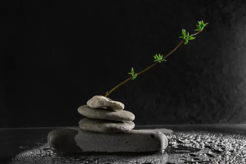 Resilienza: significato reale e fraintendimenti comuni