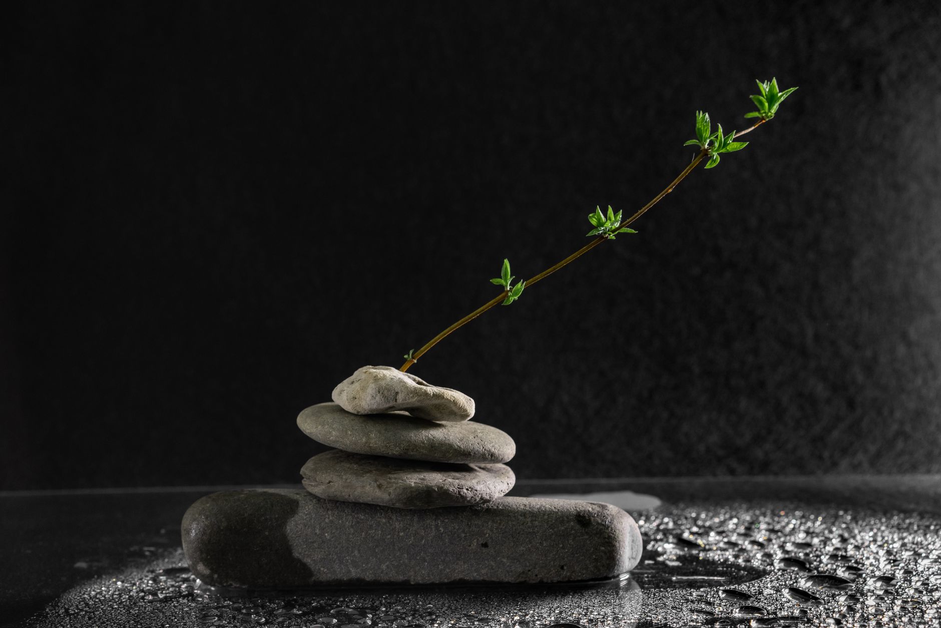 Resilienza: significato reale e fraintendimenti comuni