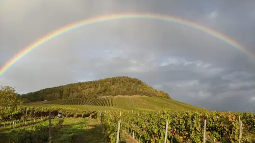 Perché si formano i colori dell'arcobaleno