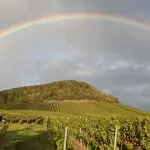 Perché si formano i colori dell'arcobaleno: cosa ci dice la scienza